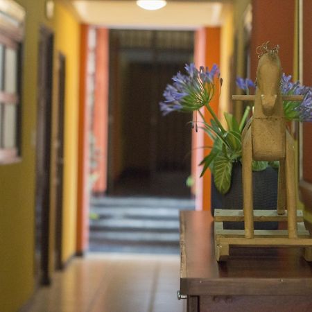 Give House Bed & Breakfast Guatemala City Ngoại thất bức ảnh