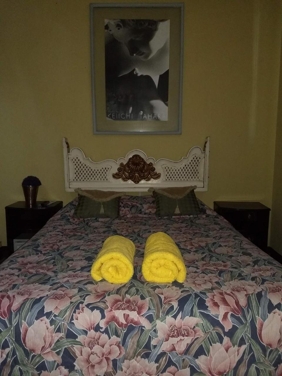 Give House Bed & Breakfast Guatemala City Ngoại thất bức ảnh